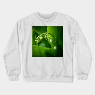 Lily of the Valley Crewneck Sweatshirt